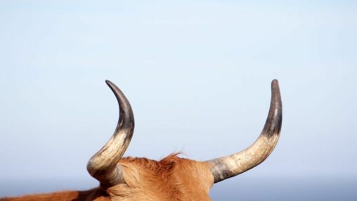 Sequans communications kicks off bitcoin treasury with 370 btc purchase