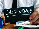 The boom in going bust! insolvency firm begbies traynor sees profits double as larger firms fail