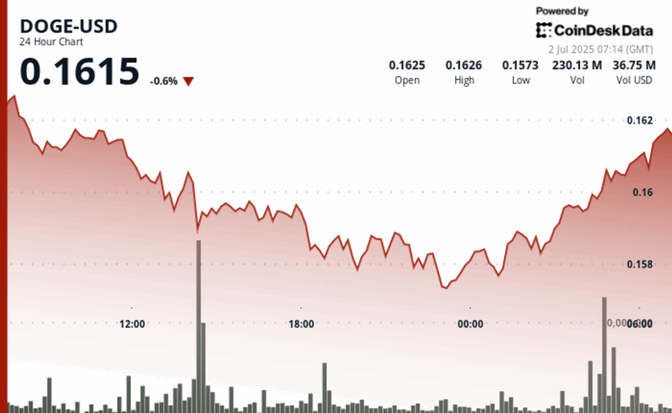 Dogecoin rebounds after forming 'double bottom'