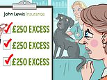 Pet insurer charged £250 excess three times after our black labrador's single operation: sally sorts it