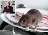 The house i bought is infested with rats can i take action against the seller?