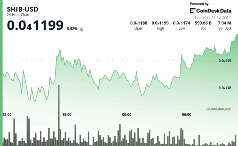 Shiba inu's futures open interest tops 7m shib as price recovery meets whale selling