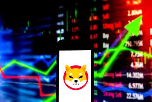 Shiba inu price could see 180% explosion as this indicator flashes bullish divergence