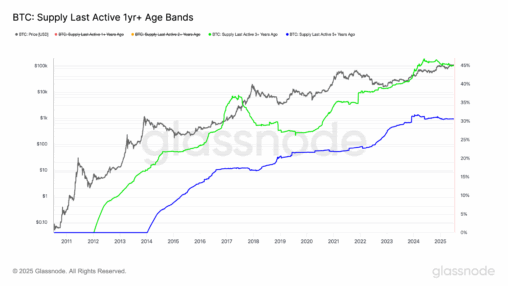 Bitcoin long term holders signal patience in market