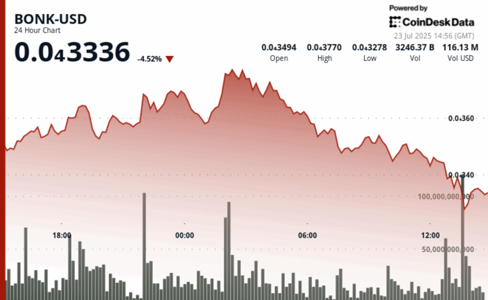 Bonk tests support levels after high volume drop