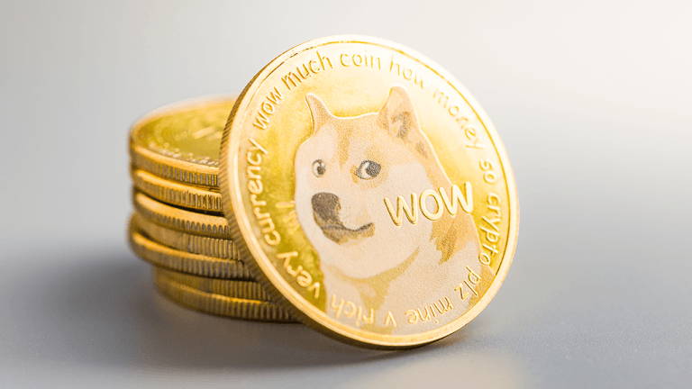 Nasdaq listed firm bets big on doge with massive capital raise