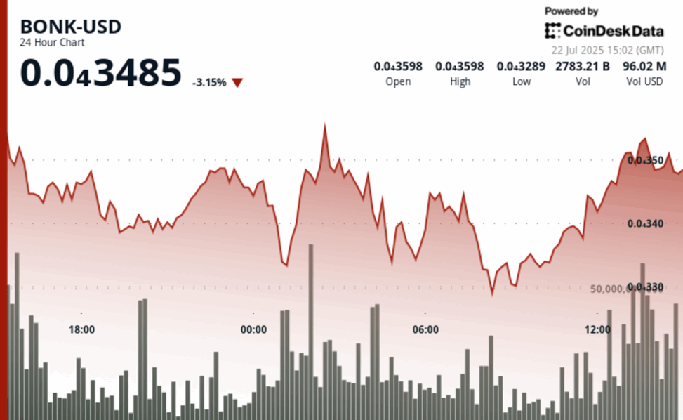 Bonk holds key support as volatility grips market