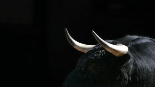 Bitcoin bulls bank on fed's 'stealth' rate cuts: crypto daybook americas