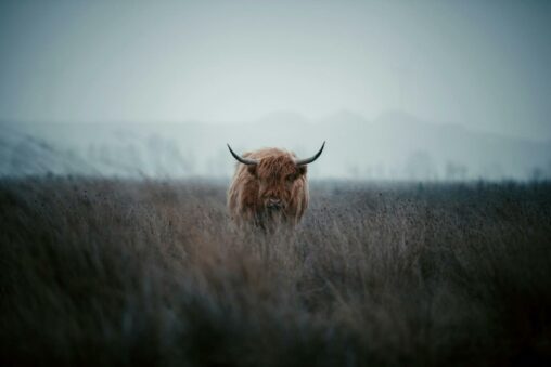 Bitcoin bull mulls different kind of corporate treasury strategy as prices continue on hold