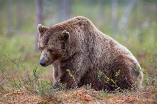Bears lose $400m to liquidations, largest since may, as btc, eth, sol spike higher