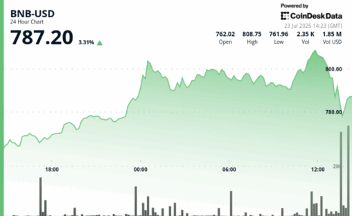 Bnb briefly tops $800 as investors adopt risk on attitude, corporate adoption grows