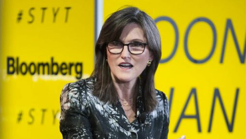 Cathie wood's ark: bitcoin's bullish momentum slows as long term holder stacks hit record