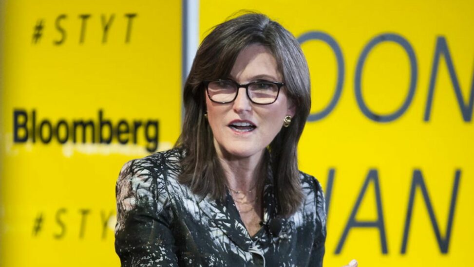 Cathie wood's ark: bitcoin's bullish momentum slows as long term holder stacks hit record