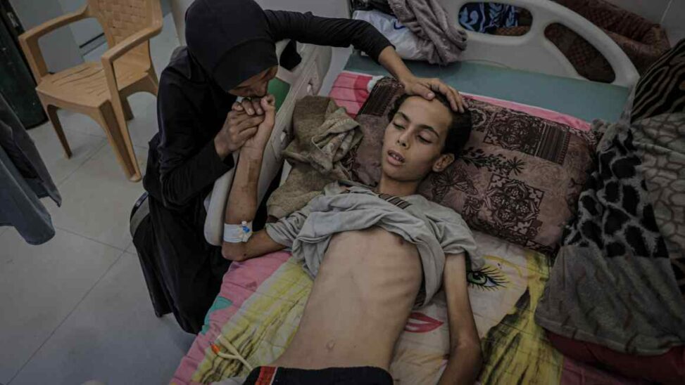 ‘there is nothing to buy’: gaza’s descent into mass starvation