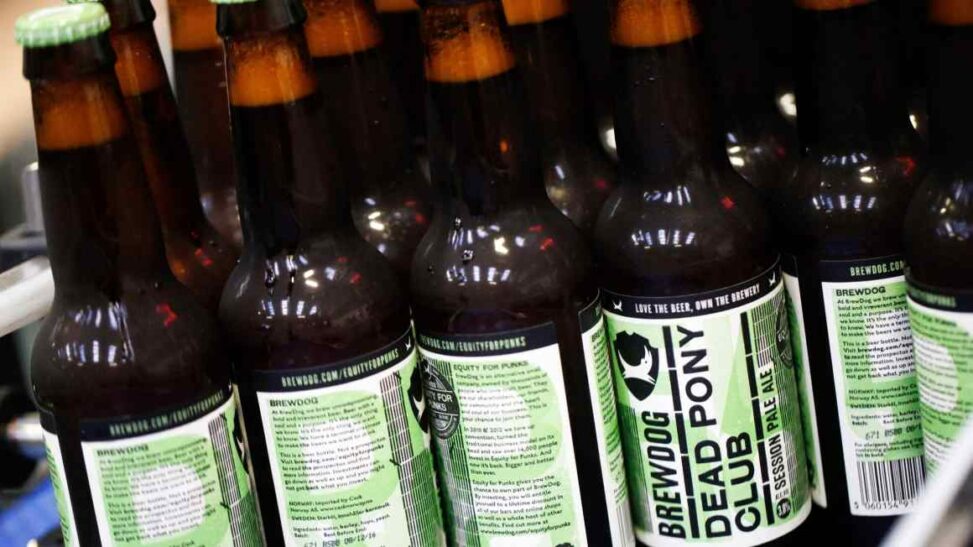 Down in one: how private equity swallowed the brewdog unicorn