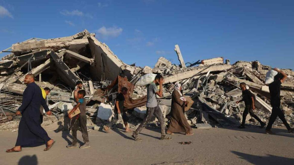 Save the children suspends bcg partnership over gaza work