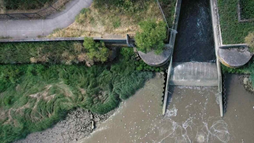 Uk minister vows to halve sewage pollution by 2030