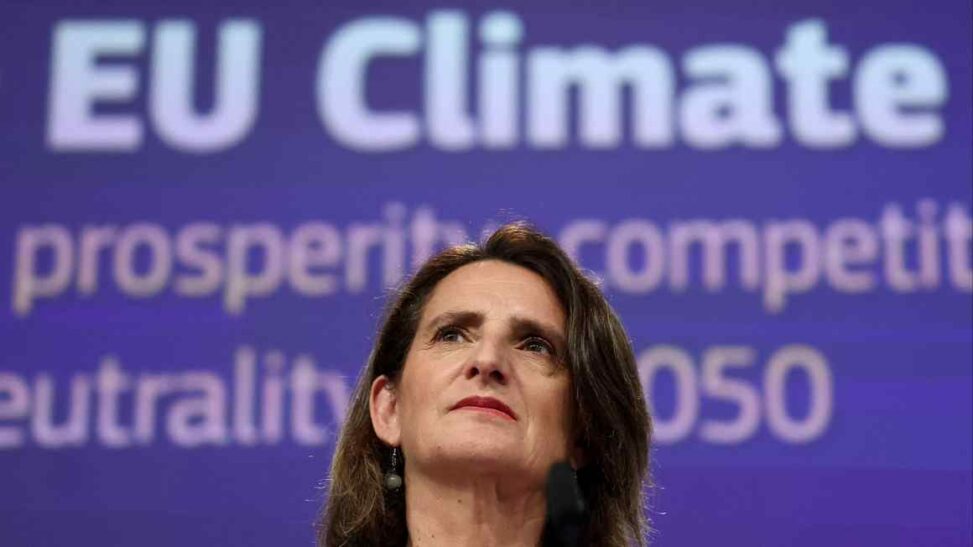 Eu to step up foreign subsidy probes, antitrust chief says