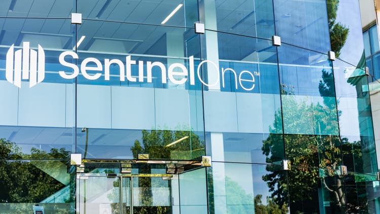 Palo alto deal for sentinelone would be a major strategic shift analyst