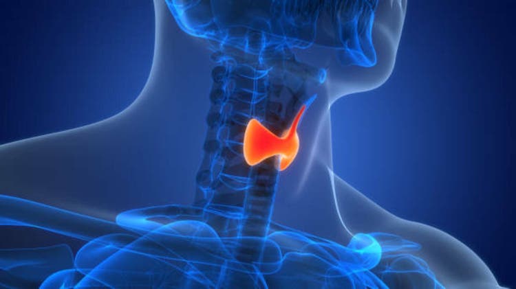 Ascendis pharma reports positive results from hypothyroid trial