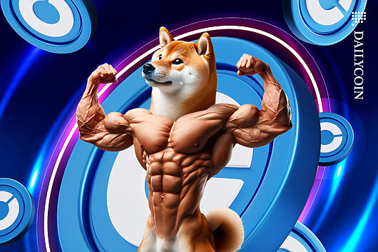 Shiba inu fever grips coinbase whales: monster rally looming?