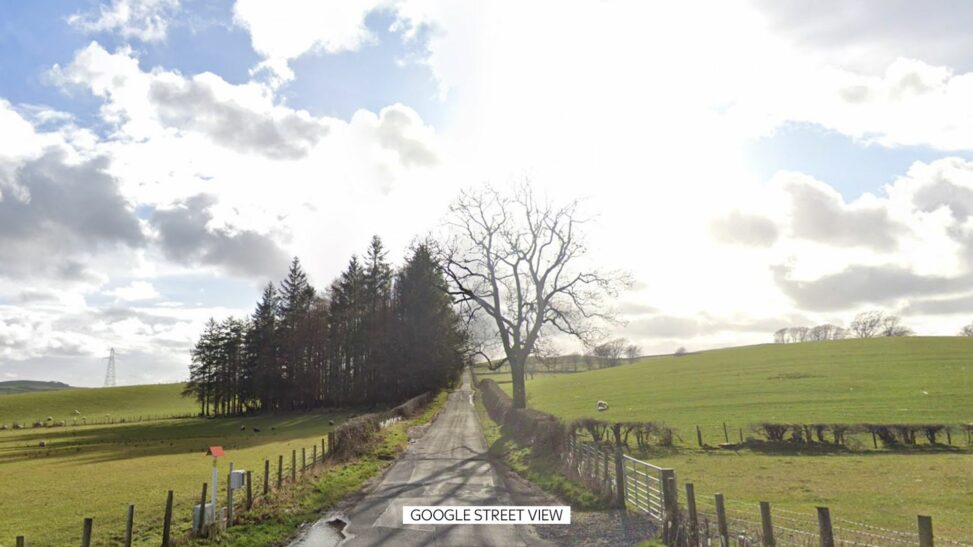 Man and dog die after van crash