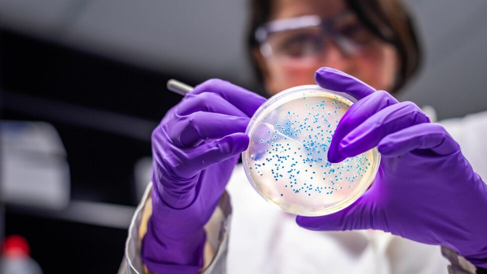 E.coli infections rise by 26% as source of outbreaks and most vulnerable age groups revealed