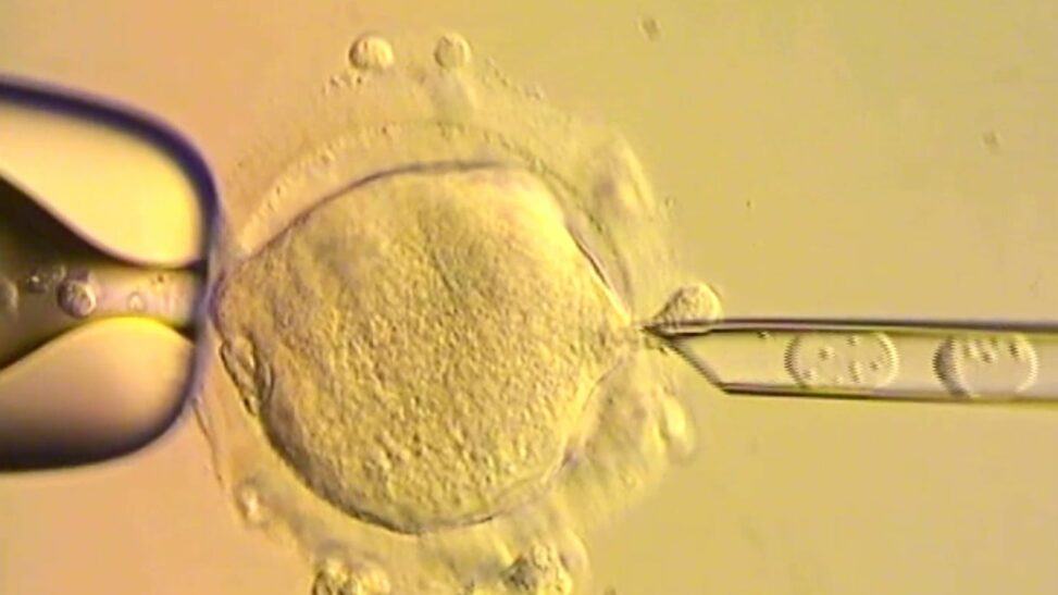 Babies born in uk with dna from three people to treat inherited disease takes medicine into uncharted territory