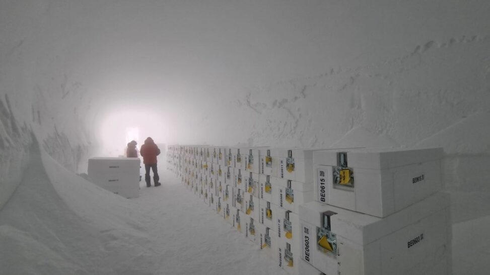 Antarctica's oldest ice arrives in uk for analysis on climate shifts
