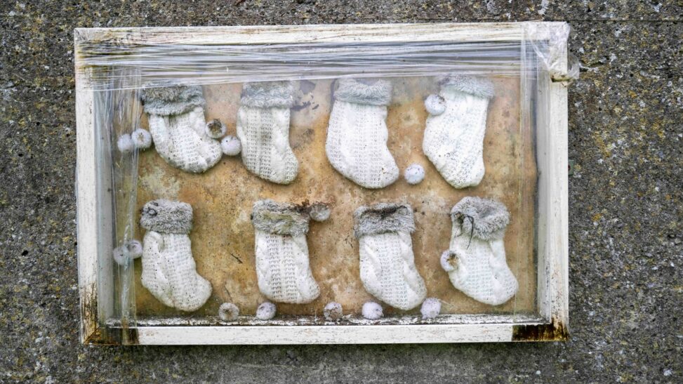 International experts join mass grave excavation at former mother and baby home in ireland