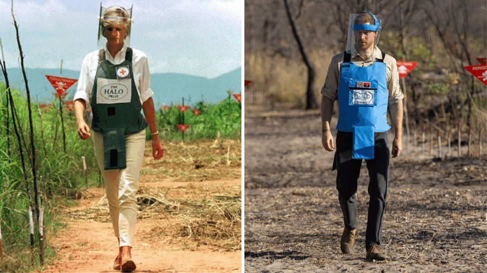 Harry follows in diana's footsteps and returns to angola to back landmine clearing charity