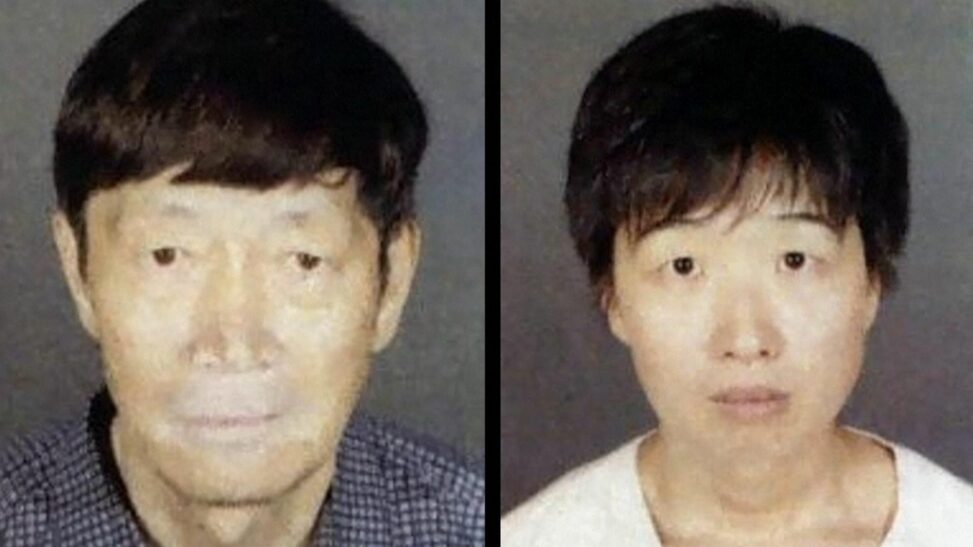 21 children taken into custody amid claims couple misled surrogate mothers across the us