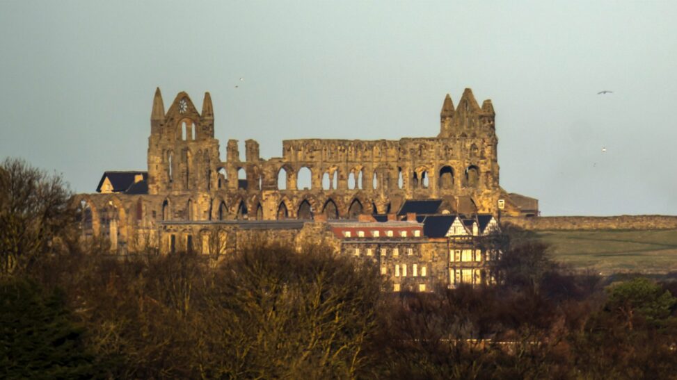 Bodies of man and woman recovered from beneath cliff at whitby abbey