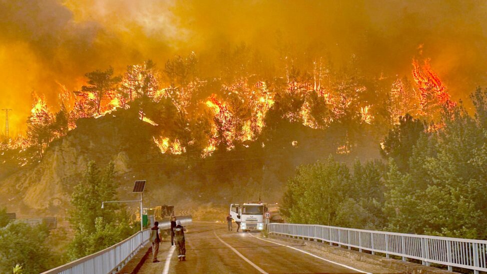 Turkey faces 'truly great disaster', warns erdogan amid raging wildfires and sweltering temperatures