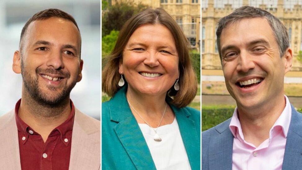 Who are the green party's leadership hopefuls?