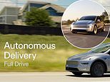 Now elon wants to make an age old motor sector job redundant: musk launches bonkers car sale feature