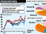 Strategic equity capital: giving small uk firms the muscle to take on the big boys