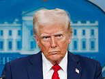 Hamish mcrae: new trump tariffs spoil the party