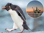 Small cap movers: rockhopper seeks $140m for falkland's offshore oil
