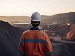 How investment trusts have evolved to offer unique opportunities: the investing analyst