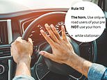 Can i really be fined for honking my car's horn when i pick my friend up?