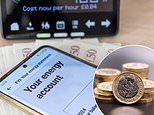 Households to receive automatic compensation for faulty smart meters and long repair times, says ofgem