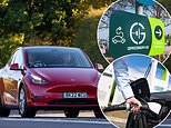The eight popular electric cars that never reach their claimed peak charging speeds... and two that do