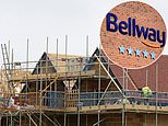 Housebuilder bellway goes on land buying spree but says councils too slow to give planning permission