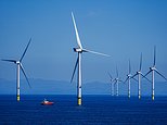 Trump's war on net zero forces wind giant orsted to raise extra cash