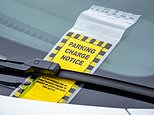Found a yellow ticket on your car? beware, it could be a new cruel parking scam...