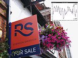 House prices are falling say estate agents but it's a mixed picture across britain