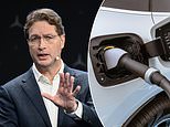 Boss at major german car maker calls for 'reality check' on ev switch