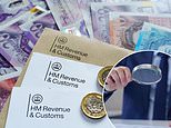 Taxman uses ai to snoop on social media posts of suspected tax cheats