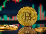 Bitcoin surges to a new record high on rate cut hopes before easing back